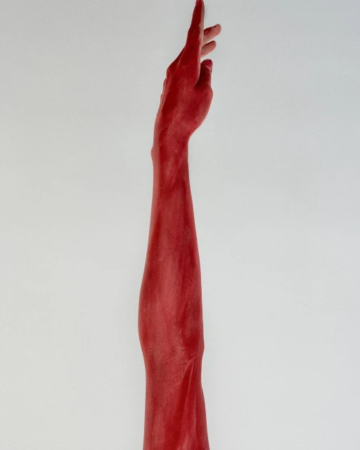 A human arm painted red extends upward in a stark studio shot against a white backdrop, emphasizing texture and color.