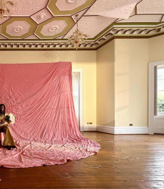 Woman with bouquet sits in elegant room draped with pink fabric, natural light through windows, classic architectural details, unique scene.