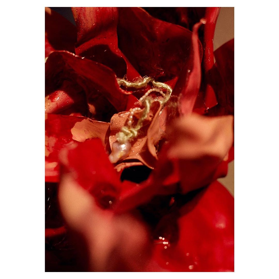 Macro image of red rose petals arranged around a pearl, showcasing the textures and colors in a visually compelling composition.