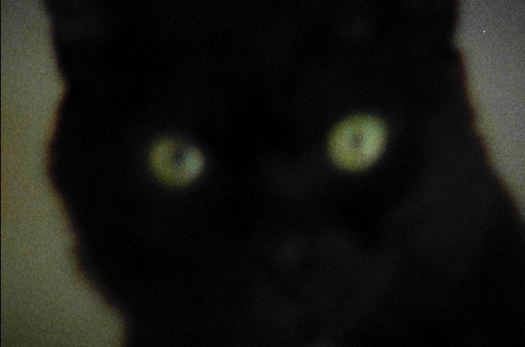 Close-up of a black cat with bright green eyes in a dimly lit environment, creating a captivating and slightly mysterious portrait.
