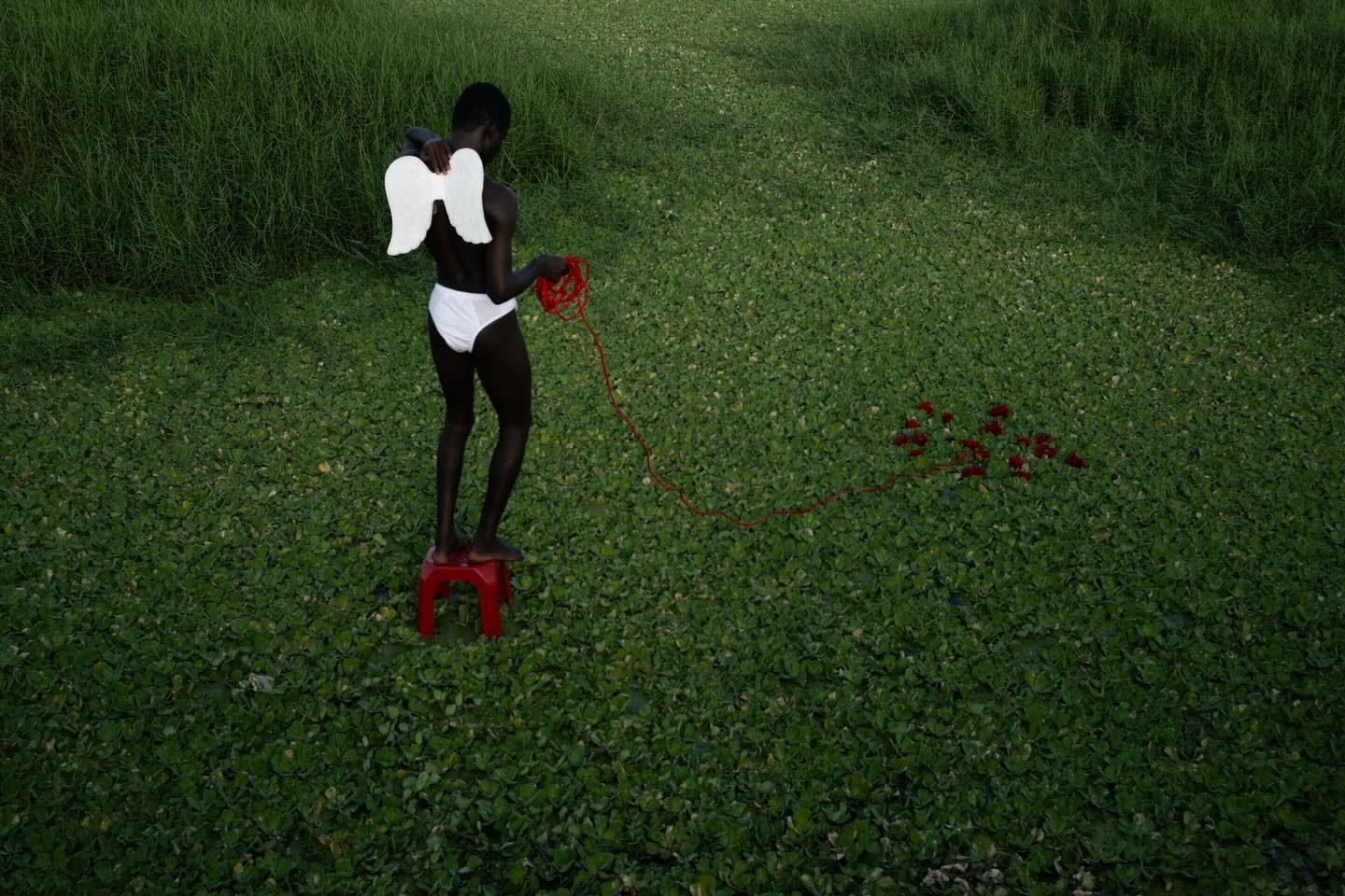 Adult male standing on a red stool wearing white briefs and angel wings, holding a red string tied to roses on a green field.