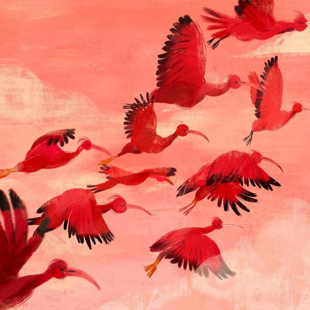 Illustration of a large group of scarlet ibis birds flying against a textured pink and peach sky. The birds have long, curved bills.
