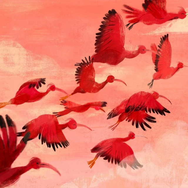 Illustration of a large group of scarlet ibis birds flying against a textured pink and peach sky. The birds have long, curved bills.