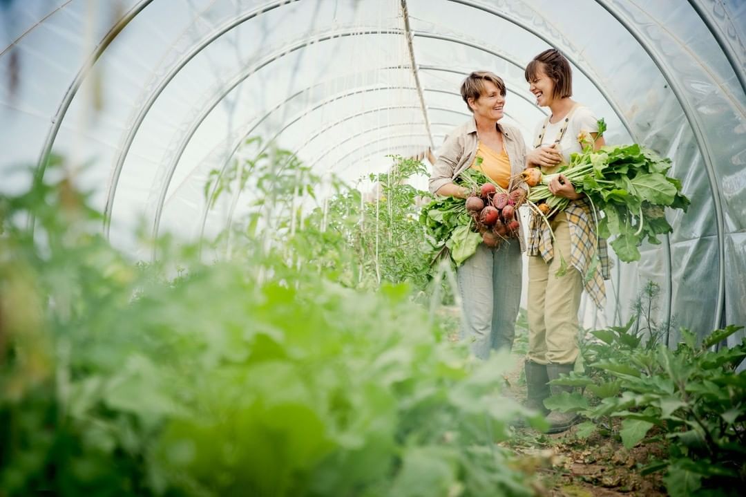 Two women in a greenhouse smiling and holding harvested beets and greens, surrounded by rows of leafy green plants in natural lighting.