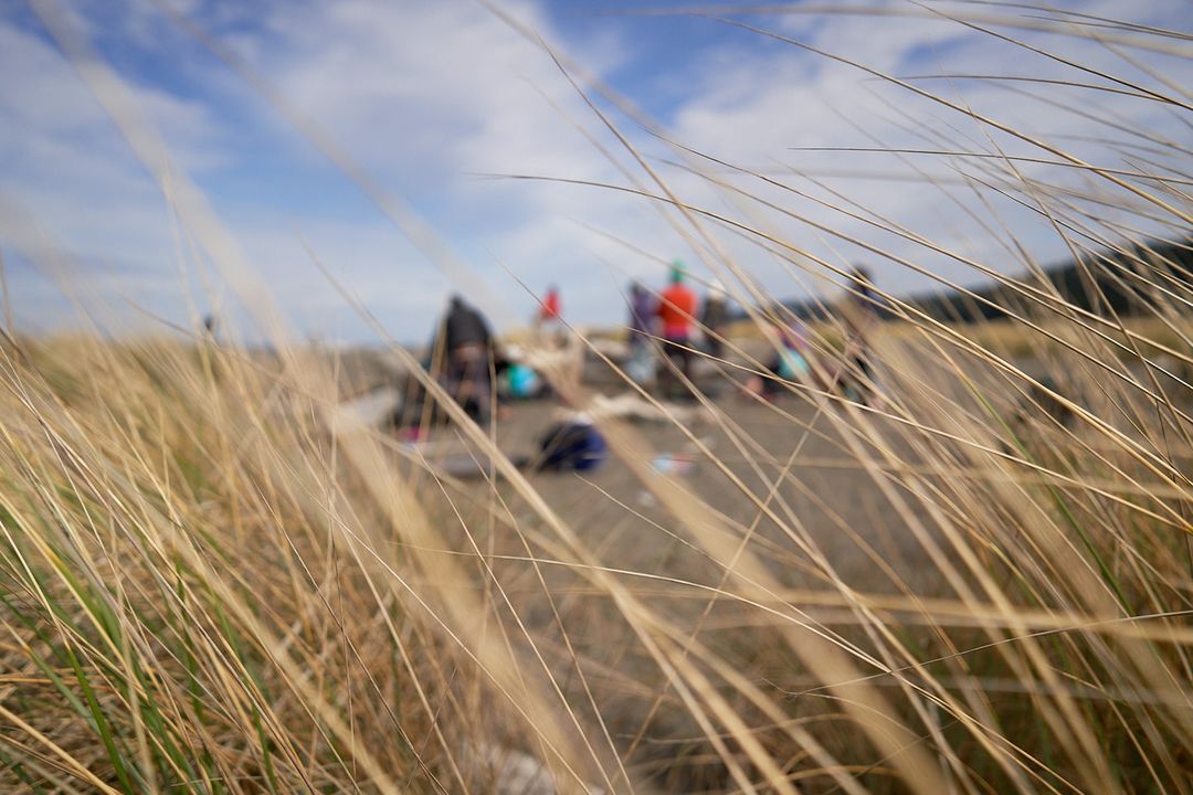 Scenic view of a beach with tall grass in the foreground, a group of people in the background, and a bright sky overhead on a sunny day.