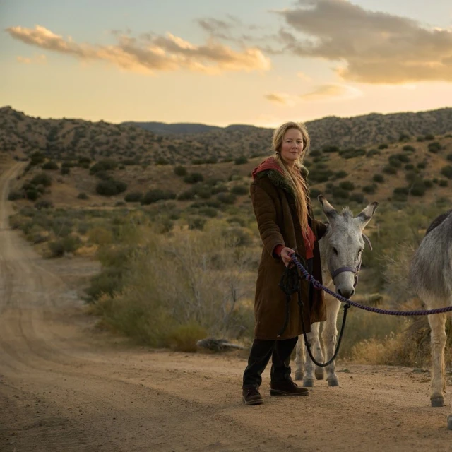 Adult woman walks along a dirt road with two donkeys on a leash in an outdoor desert environment during sunset. 