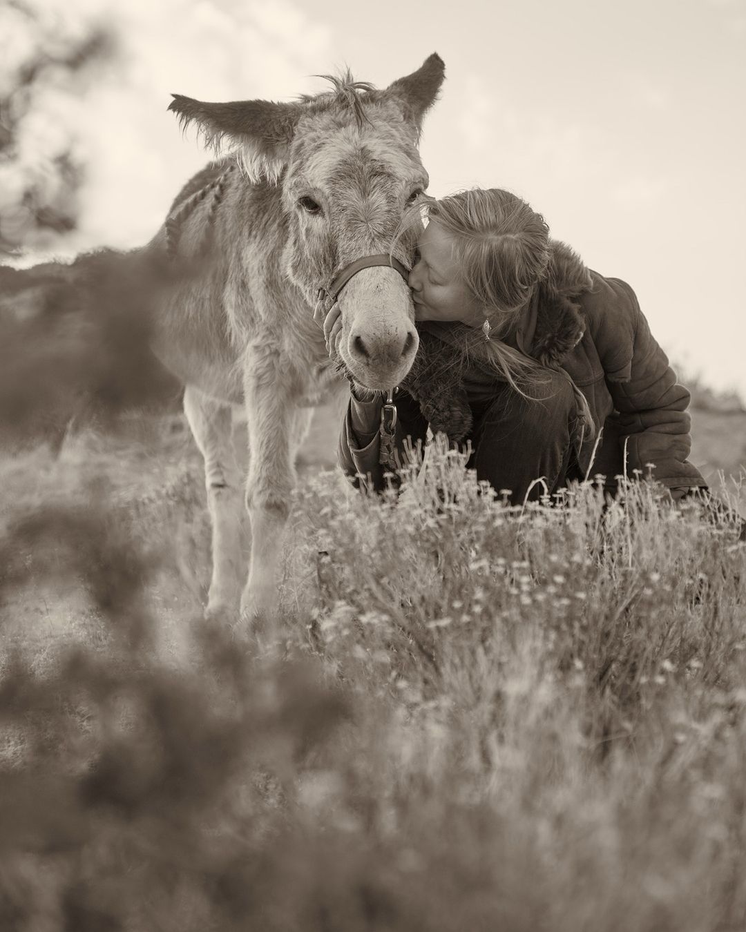 A woman kisses a donkey on its nose in a grassy field under an overcast sky, creating a heartwarming sepia-toned outdoor moment of affection.