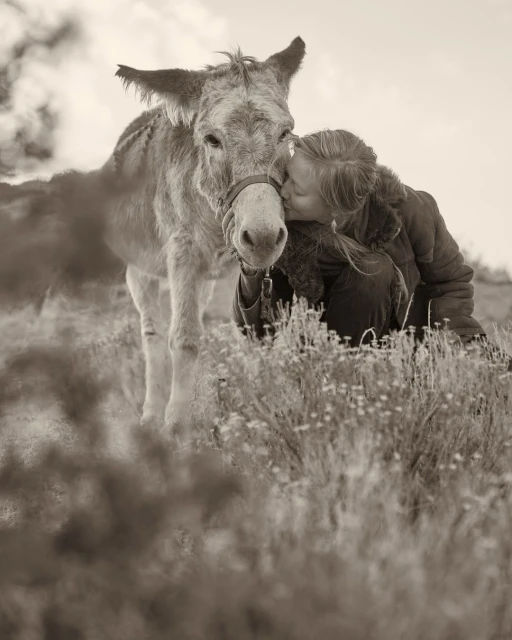 A woman kisses a donkey on its nose in a grassy field under an overcast sky, creating a heartwarming sepia-toned outdoor moment of affection.