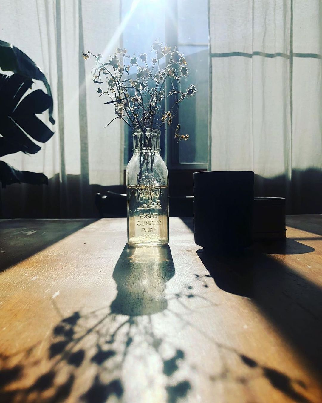Still life of a glass bottle vase with dried flowers on a wooden table, casting a shadow, with a curtained window in background.