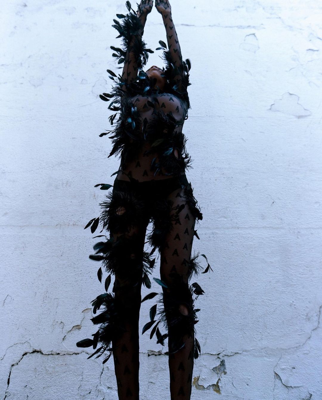 A female figure in a feathered costume strikes a pose against a textured white wall. The artistic image balances shadow and light.