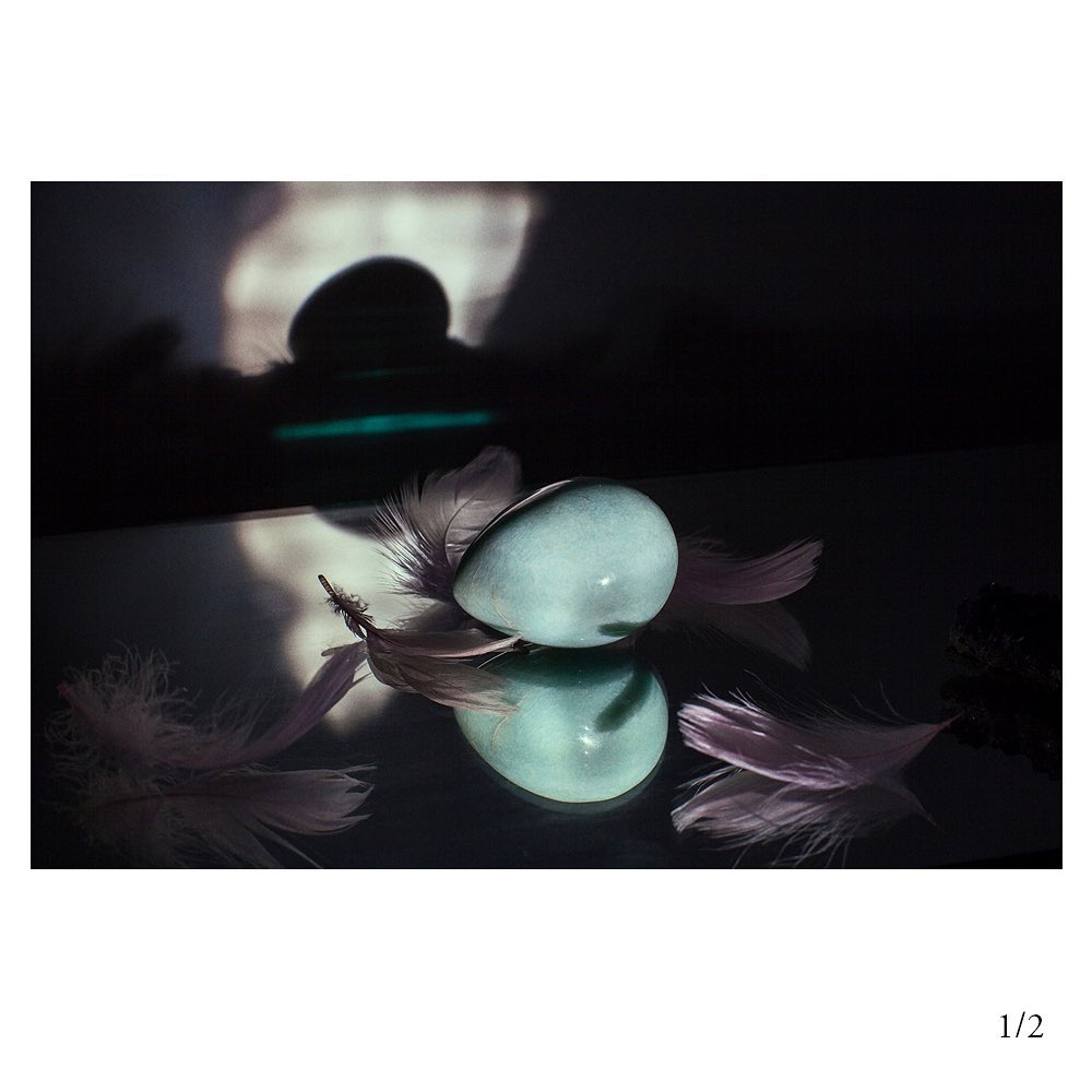 Blue-toned avian egg rests among pale feathers atop a reflective surface with a dramatic light and shadow play in a dark studio setting.