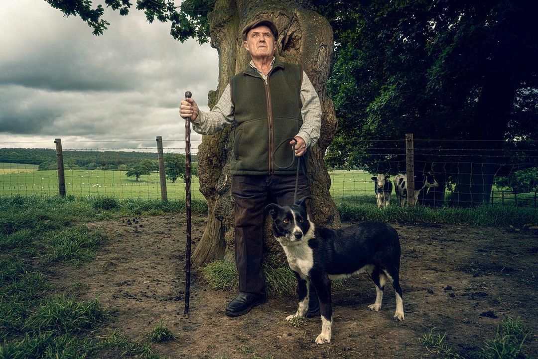 Elderly man stands with border collie by a tree in a rural field, holding a walking stick, featuring cows grazing in the background.