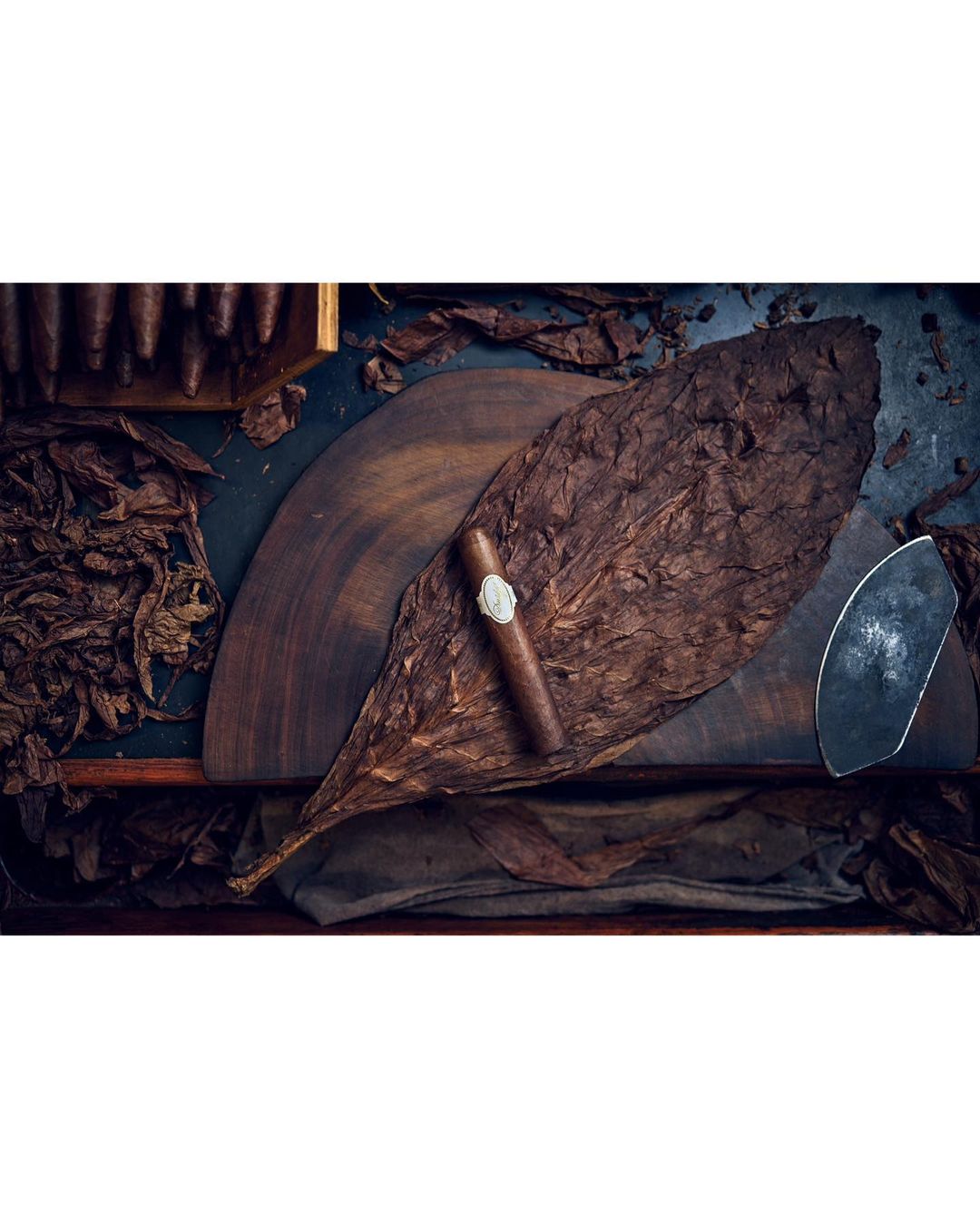 Cigar resting on a large tobacco leaf, surrounded by loose tobacco and a cigar box, showcasing the rich textures and colors.