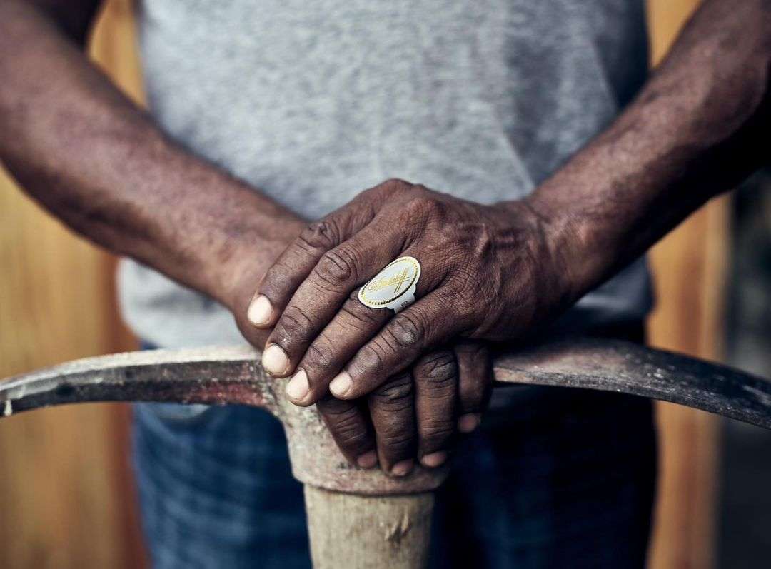 Close up of Black adult male hands resting on a pickaxe, wearing a large gold and silver ring, with a blurry wood background.