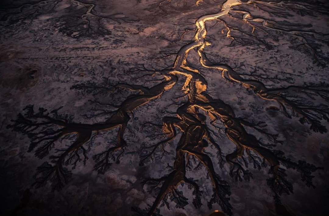 Aerial view reveals intricate patterns of branching riverbeds and tributaries in a dark landscape, highlighted with warm-toned illumination.