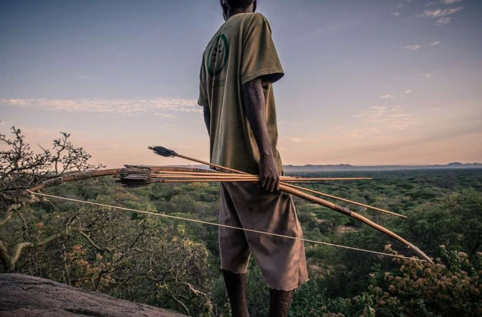 Man holding a bow and arrows stands on a rocky hilltop overlooking a forest landscape under a pastel sky at sunset.