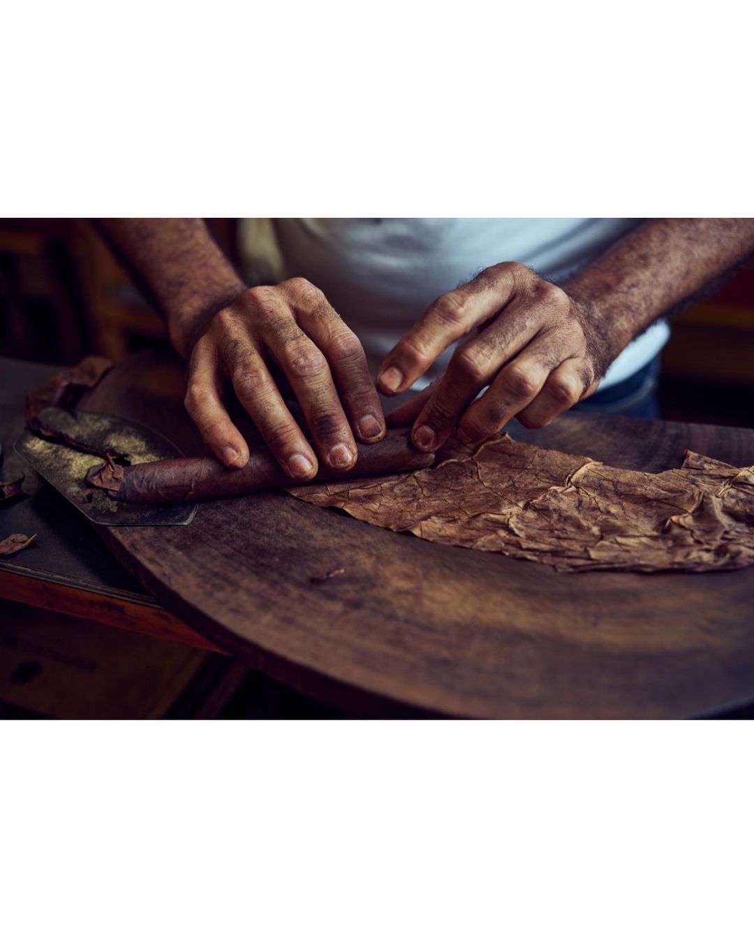 Craftsman rolling a cigar by hand with tobacco leaves on a wooden table, close-up shot of hands and cigar