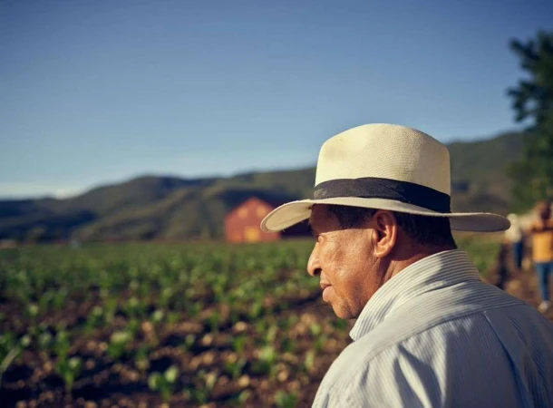 An older man wearing a straw hat and striped shirt looking across an agricultural field toward distant mountains.