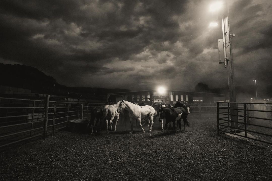 Monochromatic scene of a group of horses in an enclosure under a cloudy sky, illuminated by a light post, evoking a rural setting.