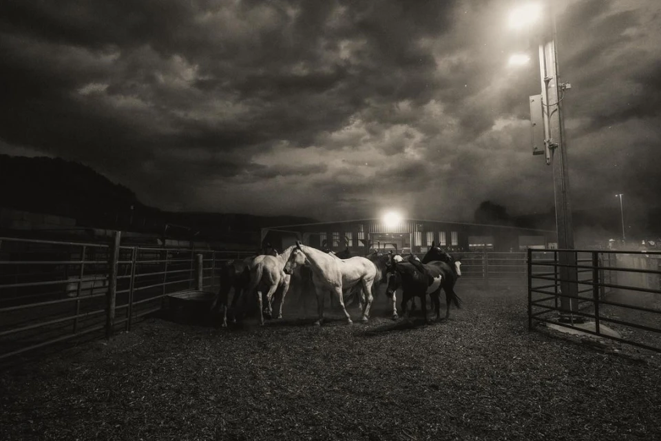 Monochromatic scene of a group of horses in an enclosure under a cloudy sky, illuminated by a light post, evoking a rural setting.