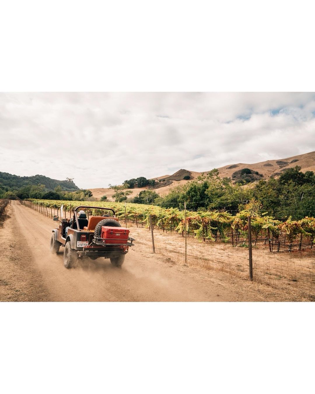 Red SUV driving down dusty road between vineyards, blue sky and hills in background, outdoor, daylight, travel photography.