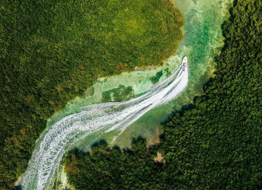 Aerial view of a white boat moving through a river between dense green vegetation, creating a foamy wake in the turquoise water.