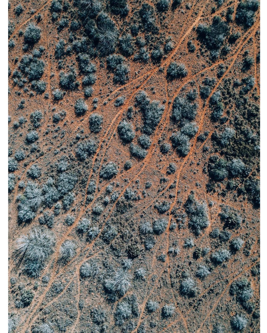 Aerial view of arid landscape with sparse green vegetation and winding dirt tracks cutting through the reddish-brown soil.