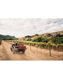 Vintage off road vehicle driving down a dusty dirt path between rows of vineyards under an overcast sky, captured by Nick Kelley.