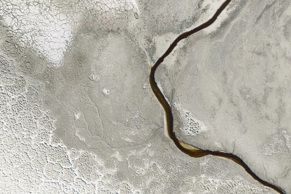 Aerial view of cracked earth terrain with a winding stream, showcasing patterns of drought and erosion in a neutral color palette.
