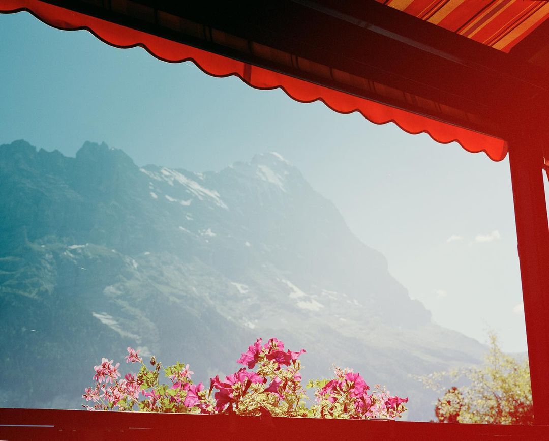 Scenic mountain view with snow-capped peaks seen from a balcony with pink flowers and a red striped awning above.
