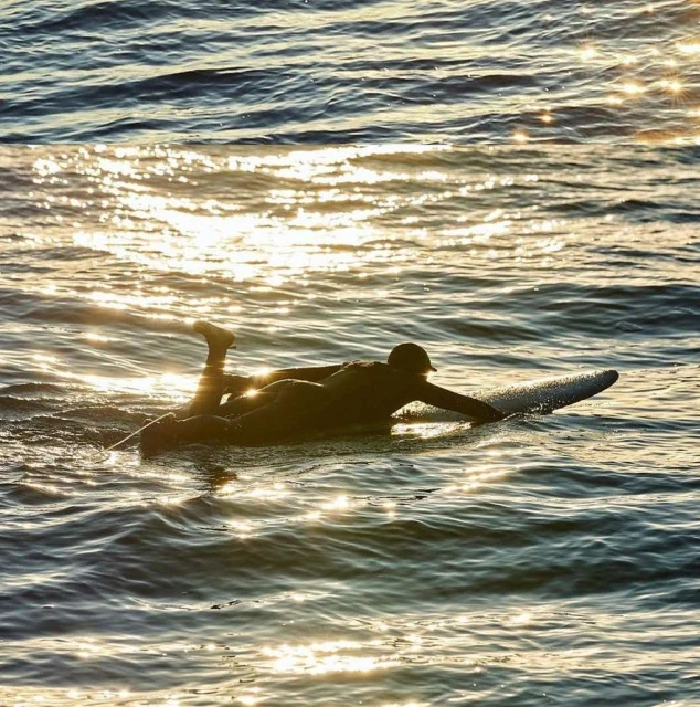A surfer paddles on their stomach in dark water, sunlight reflects and glistens off the ocean's surface at golden hour.