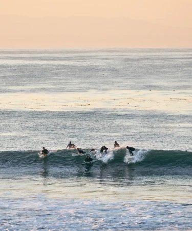 Several surfers ride a wave in the ocean on their surfboards, silhouetted against the sunset, creating an athletic watersport scene.