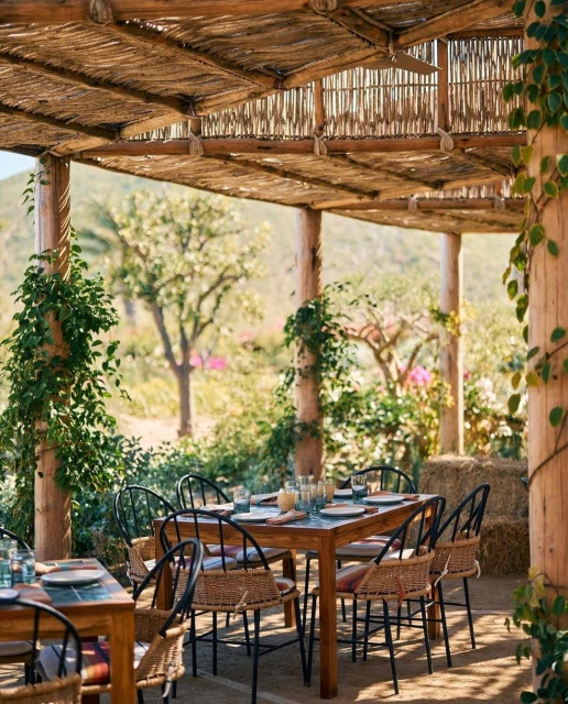 Outdoor dining table set on a patio with natural light, showcasing woven chairs, a wooden table, and green foliage in a garden setting.
