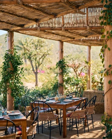 Outdoor dining table set on a patio with natural light, showcasing woven chairs, a wooden table, and green foliage in a garden setting.