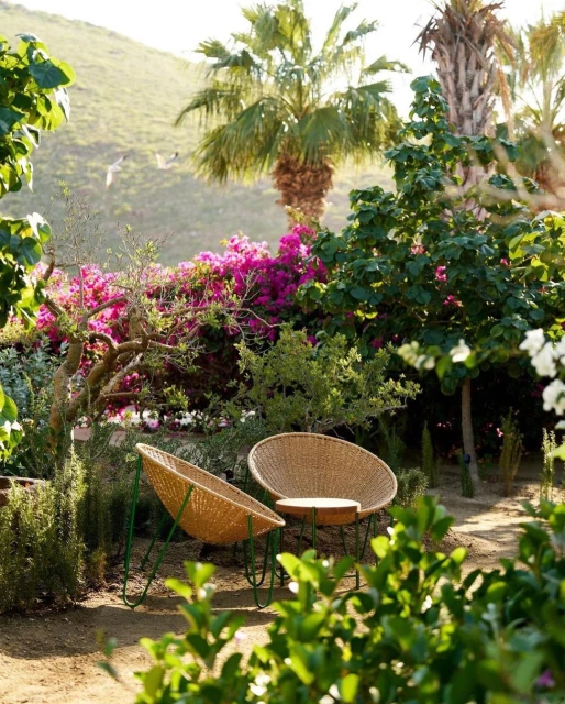 Outdoor seating area features two woven chairs on green frames, surrounded by lush greenery, trees, and pink bougainvillea in natural light.