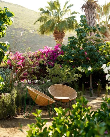 Outdoor seating area features two woven chairs on green frames, surrounded by lush greenery, trees, and pink bougainvillea in natural light.