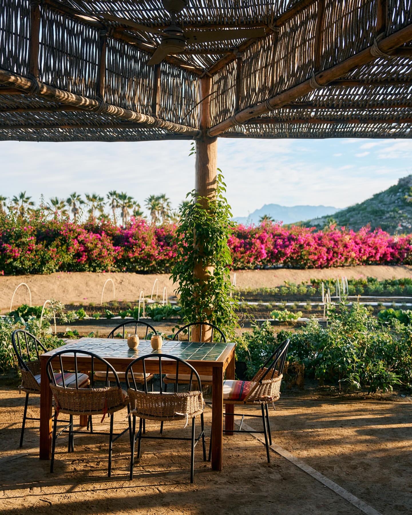 Outdoor dining area under a thatched roof featuring a wooden table with tile inlay and woven chairs, surrounded by lush greenery.