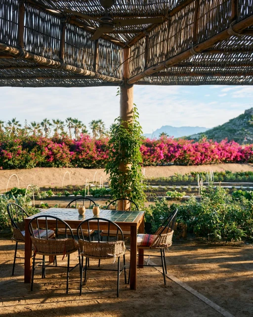 Outdoor dining area under a thatched roof featuring a wooden table with tile inlay and woven chairs, surrounded by lush greenery.