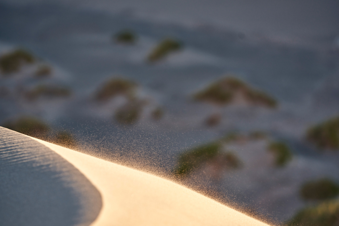 Close-up of a white sand dune with wind blowing sand, background with blurred sand dunes and vegetation patches, outdoor nature.