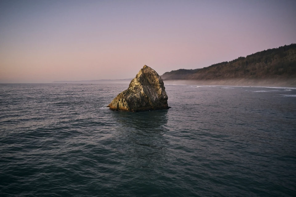 Ocean landscape featuring a prominent rock formation in the water, with a forested coastline and a dusky sky at dawn or dusk.