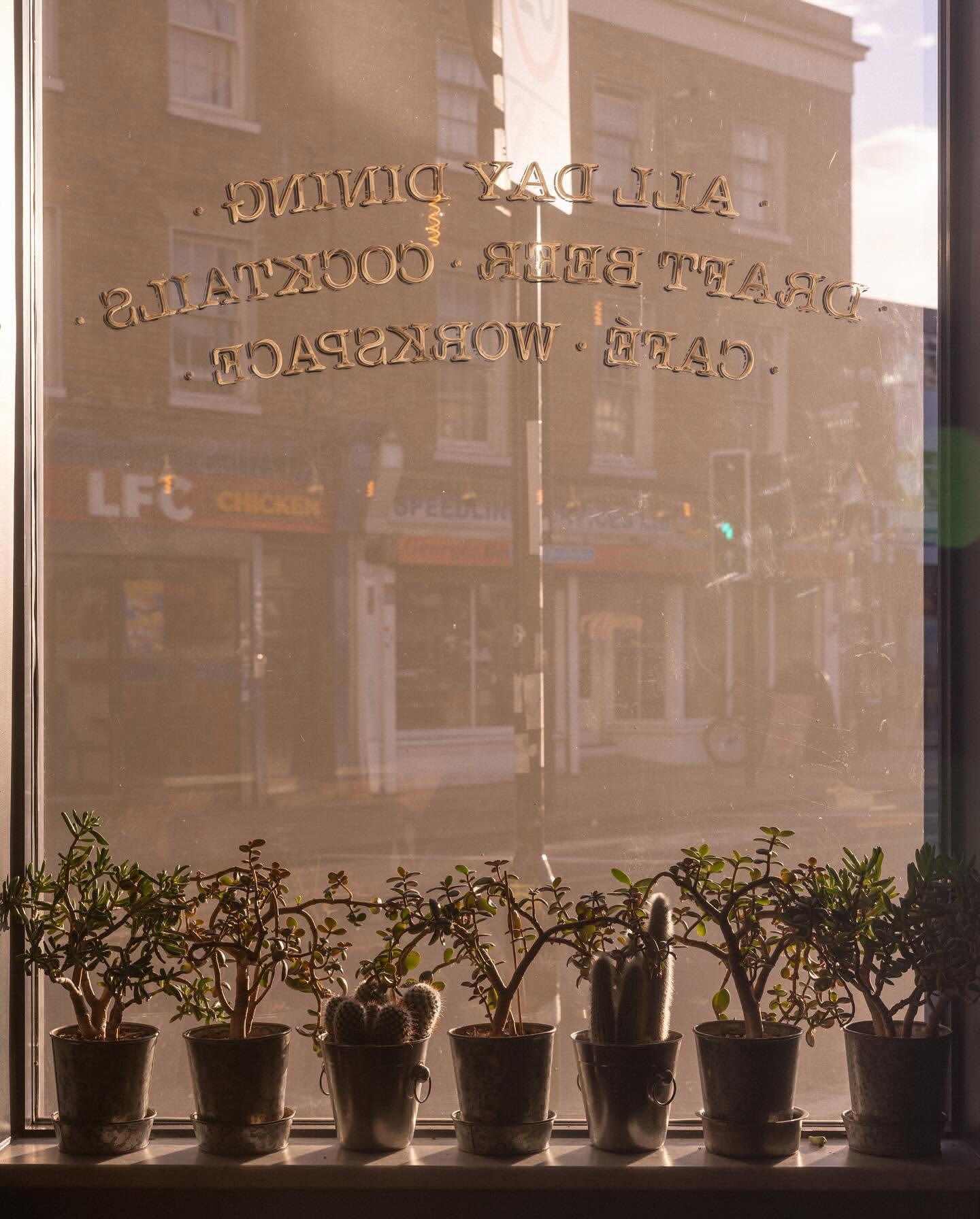 Indoor shot of potted plants on a windowsill inside a cafe, with light-drenched city street reflecting in the window glass.