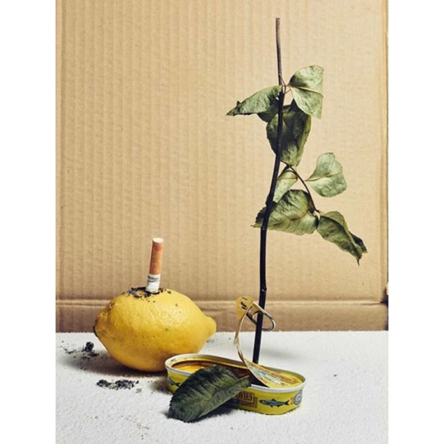 Still life composition featuring a lemon with a cigarette, a plant, and an opened sardine can on a white surface against a cardboard background.