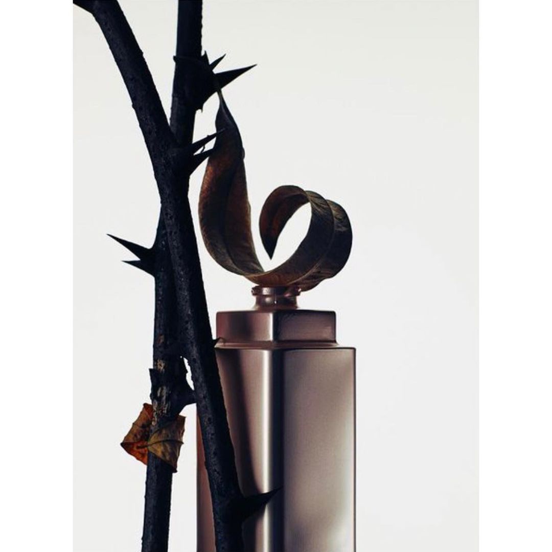 Still life of a perfume bottle with an artistic cap, a dark thorny branch, and a dry leaf against a bright white background.