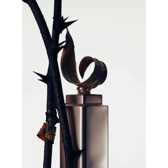 Still life of a perfume bottle with an artistic cap, a dark thorny branch, and a dry leaf against a bright white background.