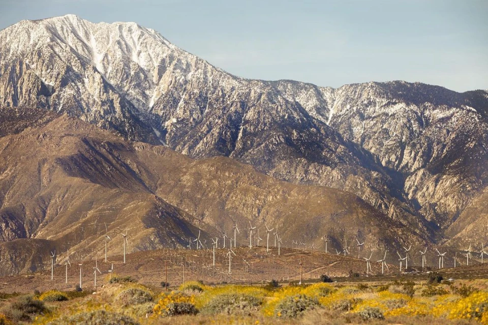 Landscape featuring snow-capped mountains, rolling hills dotted with wind turbines, and a field of yellow flowers under a blue sky.