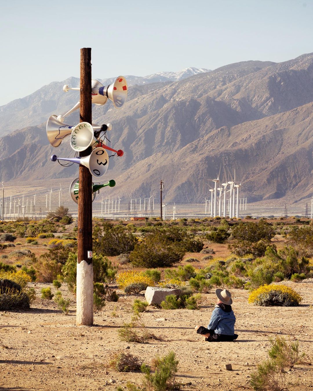 Person sits in a desert landscape with yellow wildflowers, mountains, and numerous windmills, near a wooden pole with colorful horns.