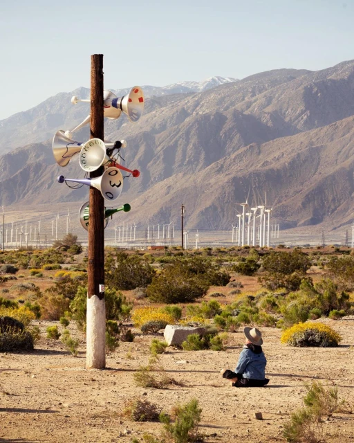 Person sits in a desert landscape with yellow wildflowers, mountains, and numerous windmills, near a wooden pole with colorful horns.