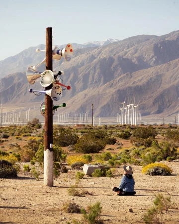 Person sits in a desert landscape with yellow wildflowers, mountains, and numerous windmills, near a wooden pole with colorful horns.