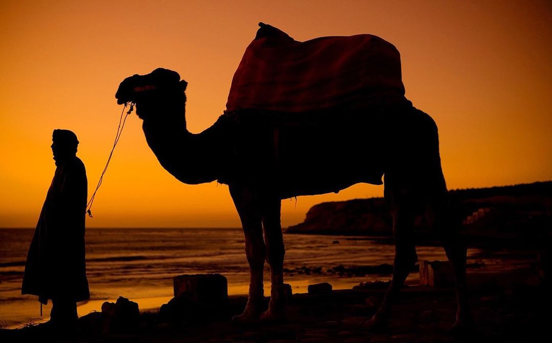 Silhouette of a person standing next to a camel on a beach against an orange sky at sunset, creating a warm, serene travel vibe.