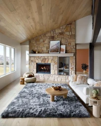 Modern living room interior with a stone fireplace, vaulted wood ceiling, white sofa, and a large grey shag rug.